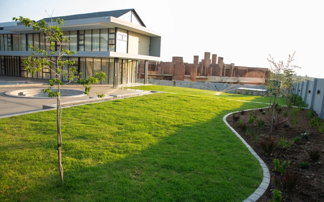 South African Landscaping: Creating Beautiful Outdoor Spaces for Local Conditions