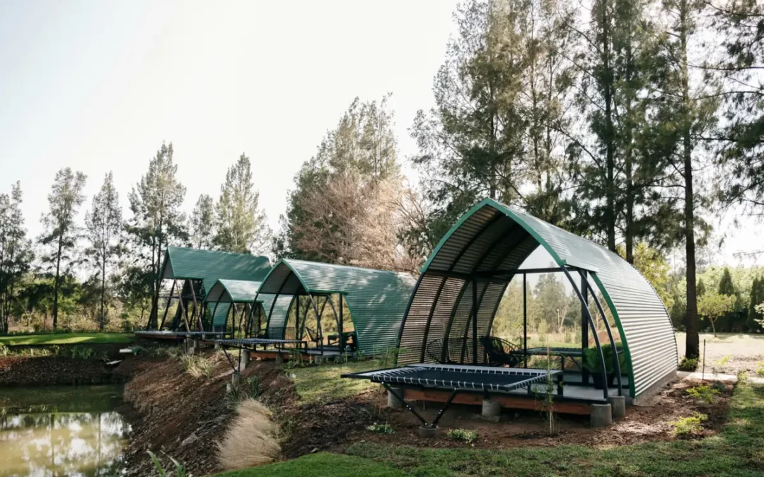 Rosemary Hill Project